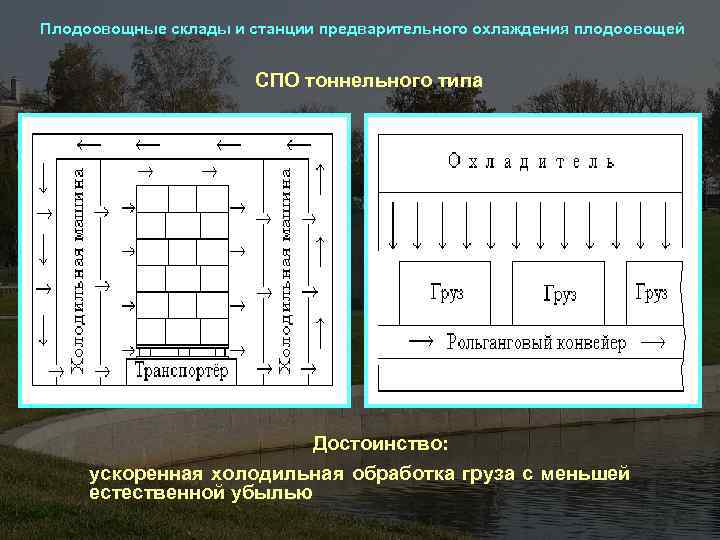 Плодоовощные склады и станции предварительного охлаждения плодоовощей СПО тоннельного типа Достоинство: ускоренная холодильная обработка