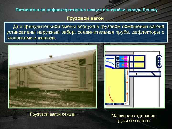 Пятивагонная рефрижераторная секция постройки завода Дессау Грузовой вагон Для принудительной смены воздуха в грузовом