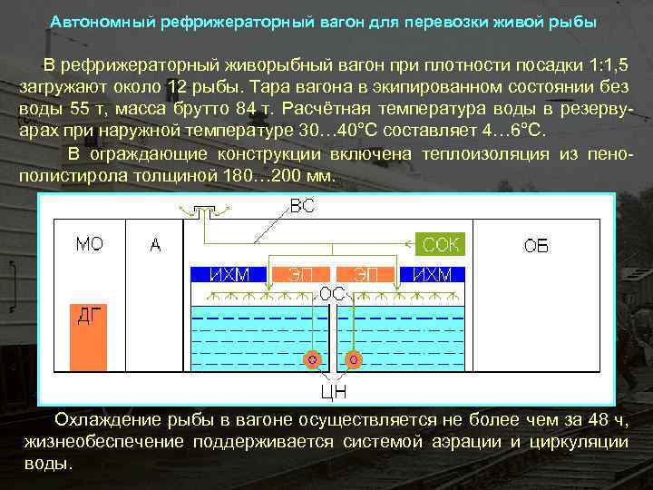 Автономный рефрижераторный вагон для перевозки живой рыбы В рефрижераторный живорыбный вагон при плотности посадки