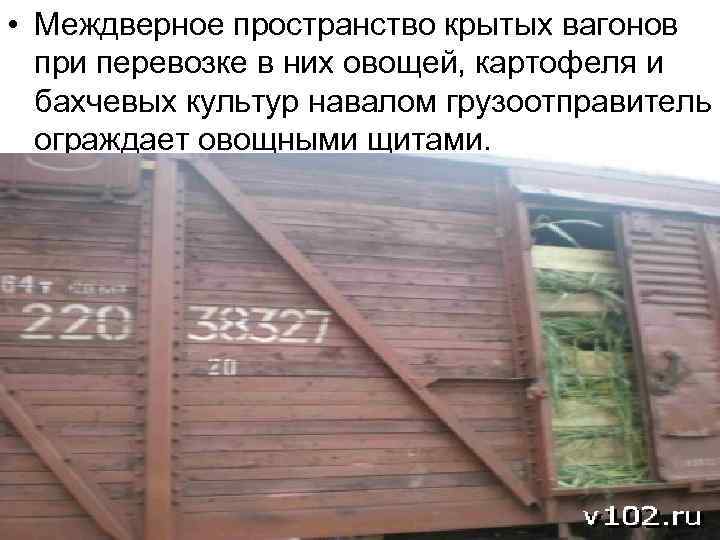  • Междверное пространство крытых вагонов при перевозке в них овощей, картофеля и бахчевых