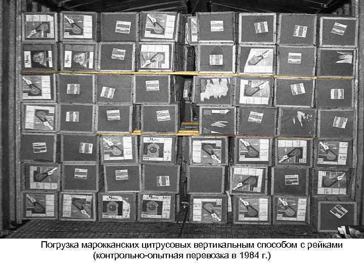  Погрузка марокканских цитрусовых вертикальным способом с рейками (контрольно-опытная перевозка в 1984 г. )