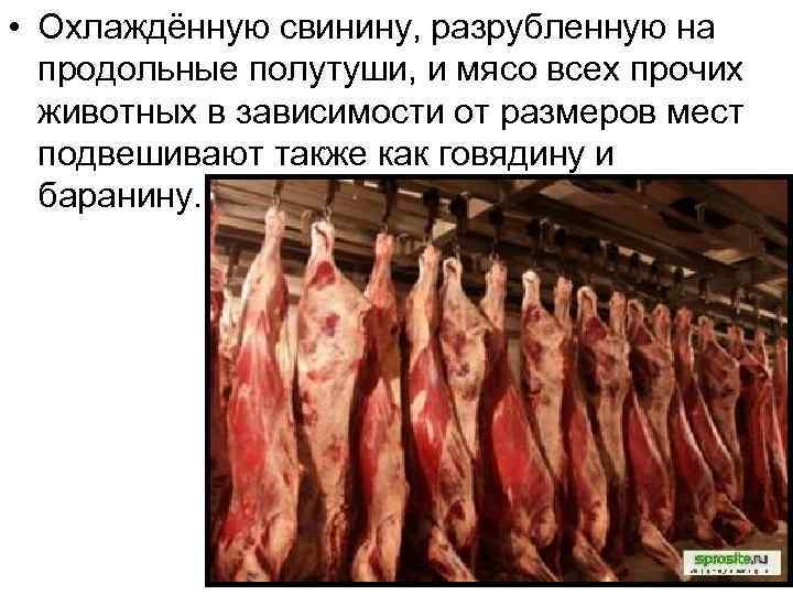  • Охлаждённую свинину, разрубленную на продольные полутуши, и мясо всех прочих животных в