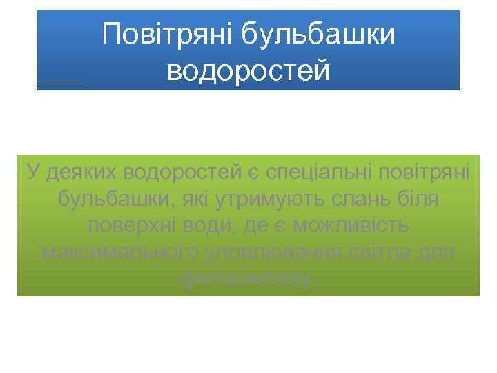 Повітряні бульбашки водоростей У деяких водоростей є спеціальні повітряні бульбашки, які утримують слань біля