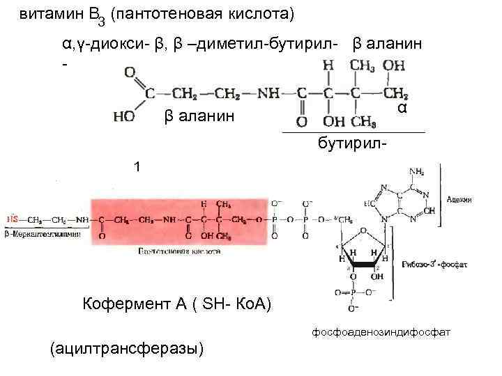 Пантотеновая кислота в детских кашах