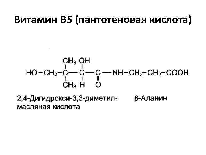 Пантотеновая кислота