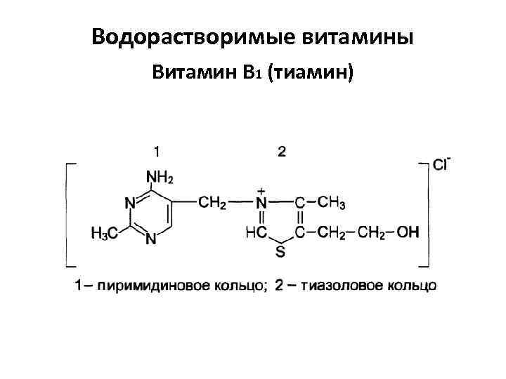 Водорастворимые витамины Витамин B 1 (тиамин) 