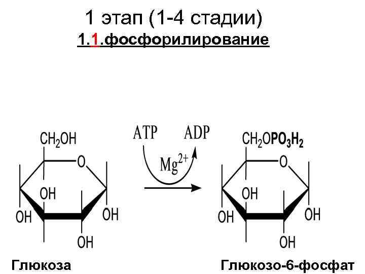 Глюкоза 6 50