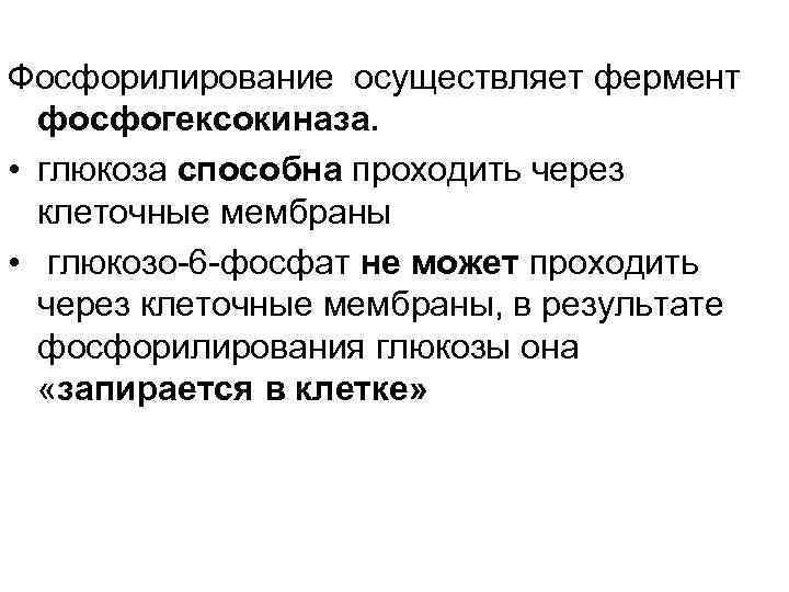 Фосфорилирование осуществляет фермент фосфогексокиназа. • глюкоза способна проходить через клеточные мембраны • глюкозо-6 -фосфат