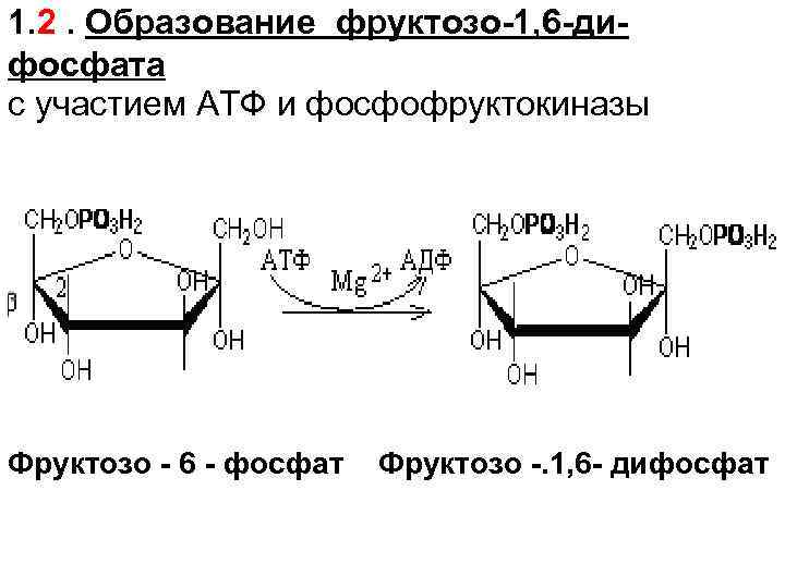 Обмен углеводов схема