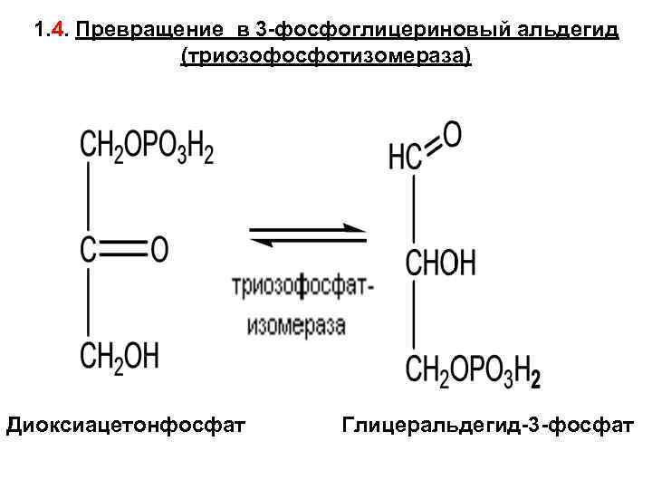 1. 4. Превращение в 3 -фосфоглицериновый альдегид (триозофосфотизомераза) Диоксиацетонфосфат Глицеральдегид-3 -фосфат 