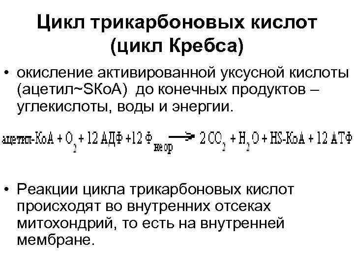 Цикл трикарбоновых кислот (цикл Кребса) • окисление активированной уксусной кислоты (ацетил~SКо. А) до конечных