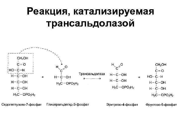 Схема лхат реакции