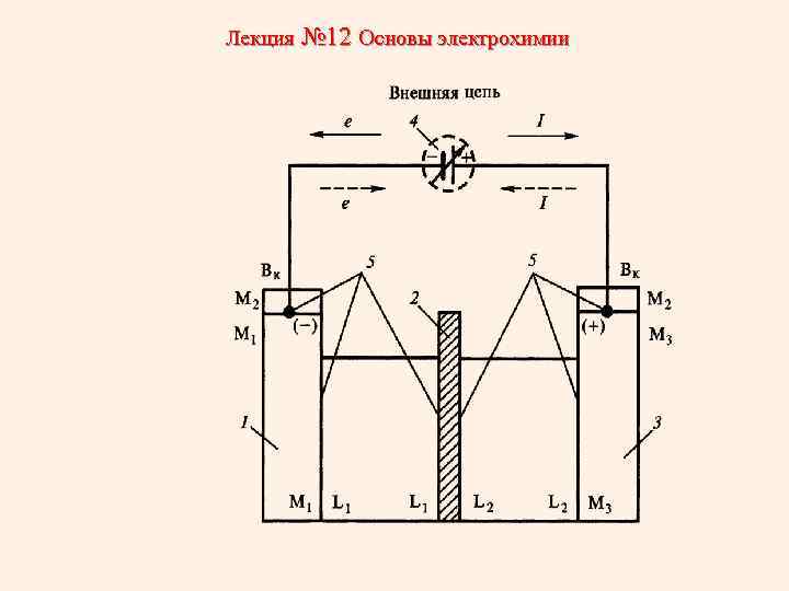 Лекция № 12 Основы электрохимии 