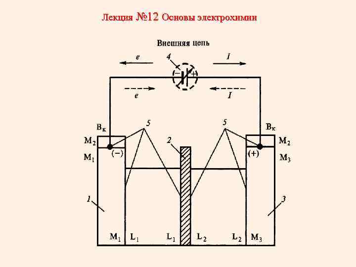 Лекция № 12 Основы электрохимии 