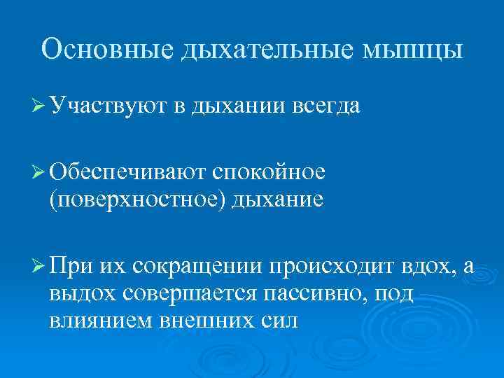 Основные дыхательные мышцы Ø Участвуют в дыхании всегда Ø Обеспечивают спокойное (поверхностное) дыхание Ø