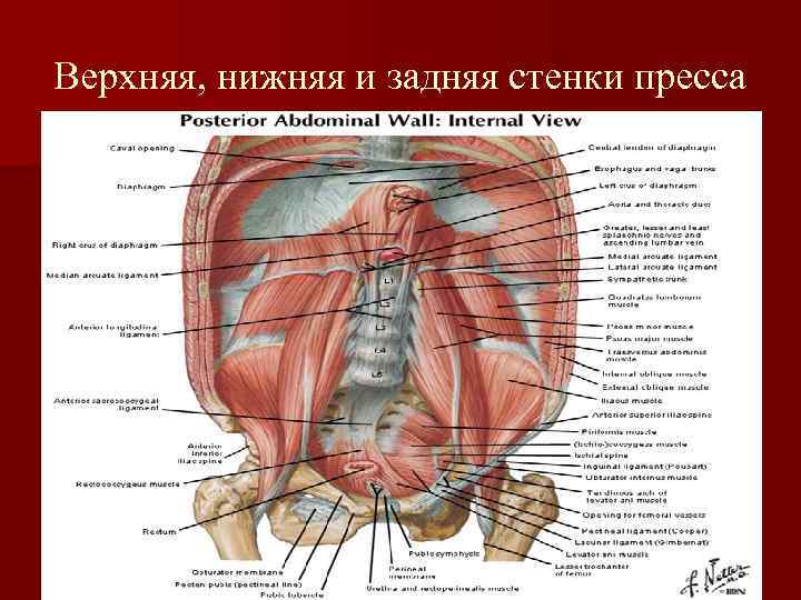 Верхняя, нижняя и задняя стенки пресса 
