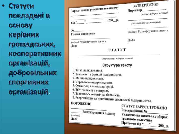  • Статути покладені в основу керівних громадських, кооперативних організацій, добровільних спортивних організацій 
