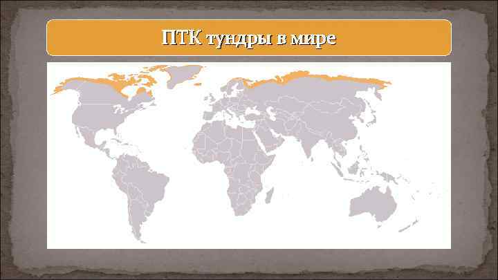 ПТК тундры в мире 