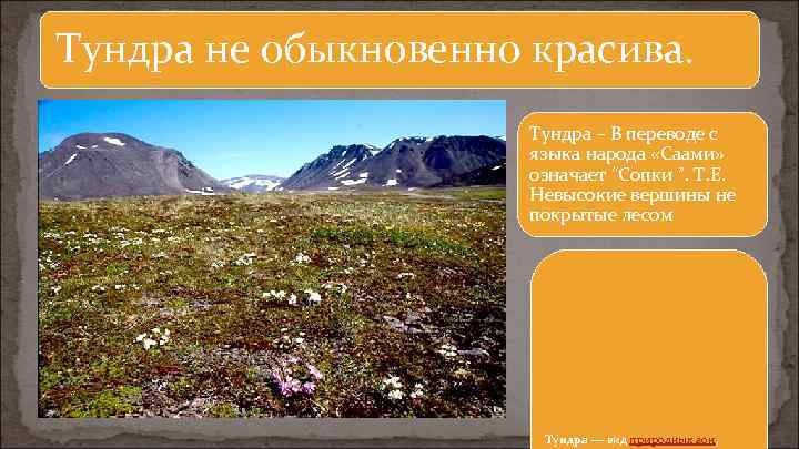 Тундра не обыкновенно красива. Тундра – В переводе с языка народа «Саами» означает “Сопки
