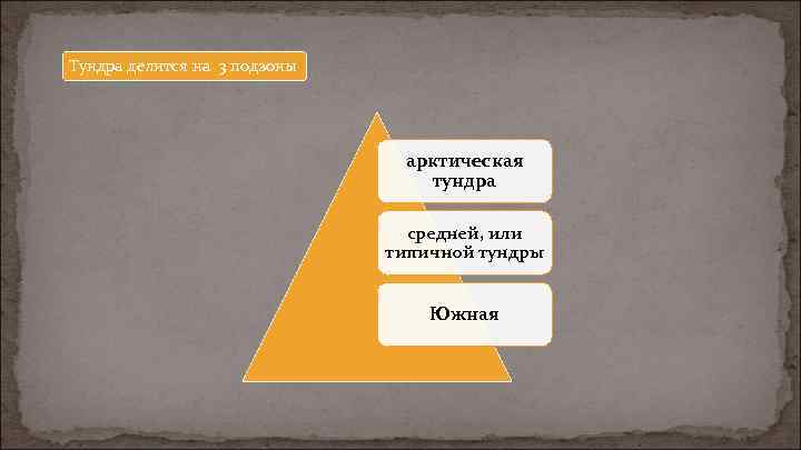 Тундра делится на 3 подзоны арктическая тундра средней, или типичной тундры Южная 