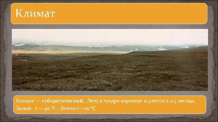 Климат — субарктический. Лето в тундре короткое и длится 2 -2, 5 месяца. Зимой