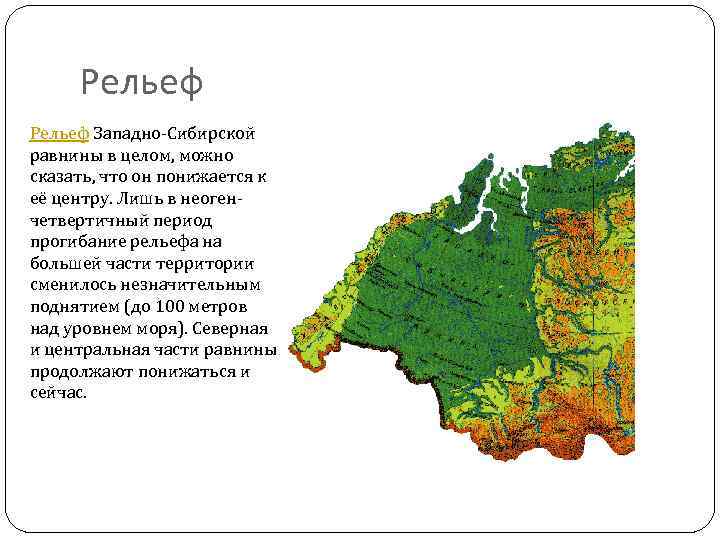 Какие особенности природы сибири зависят от обширности. Происхождение формы рельефа Западно сибирской равнины. Рельеф Западно сибирской низменности. Особенности рельефа Западно сибирской равнины. Западно-Сибирская Сибирская равнина форма рельефа.
