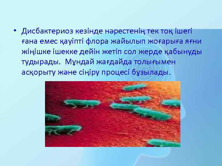  • Дисбактериоз кезінде нәрестенің тек тоқ ішегі ғана емес қауіпті флора жайылып жоғарыға