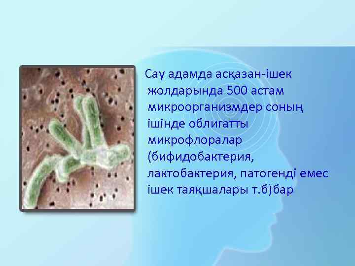 Сау адамда асқазан-ішек жолдарында 500 астам микроорганизмдер соның ішінде облигатты микрофлоралар (бифидобактерия, лактобактерия, патогенді