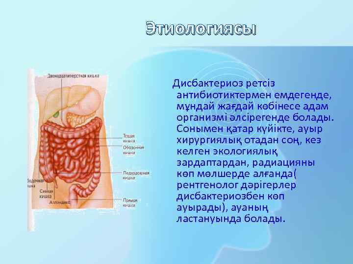 Этиологиясы Дисбактериоз ретсіз антибиотиктермен емдегенде, мұндай жағдай көбінесе адам организмі әлсірегенде болады. Сонымен қатар