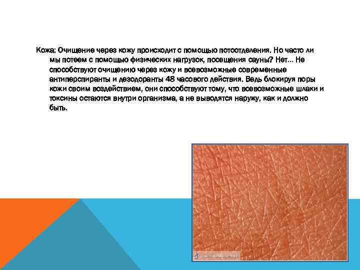 Кожа: Очищение через кожу происходит с помощью потоотделения. Но часто ли мы потеем с