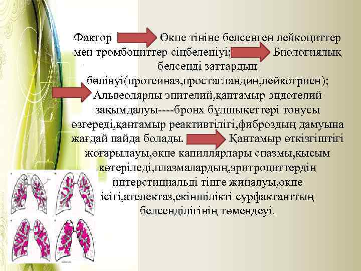 Фактор Өкпе тініне белсенген лейкоциттер мен тромбоциттер сіңбеленіуі; Биологиялық белсенді заттардың бөлінуі(протеиназ, простагландин, лейкотриен);