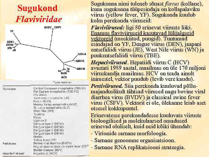 Sugukond Flaviviridae Sugukonna nimi tuleneb sõnast flavus (kollane), kuna sugukonna tüüpesindaja on kollapalaviku viirus