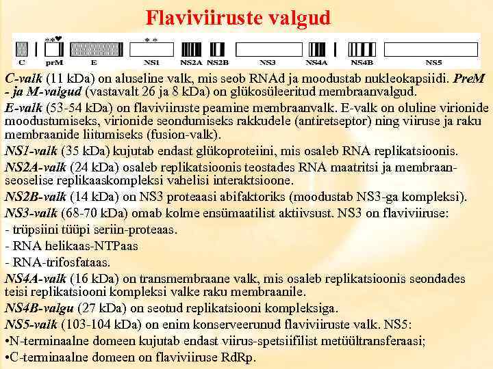 Flaviviiruste valgud C-valk (11 k. Da) on aluseline valk, mis seob RNAd ja moodustab