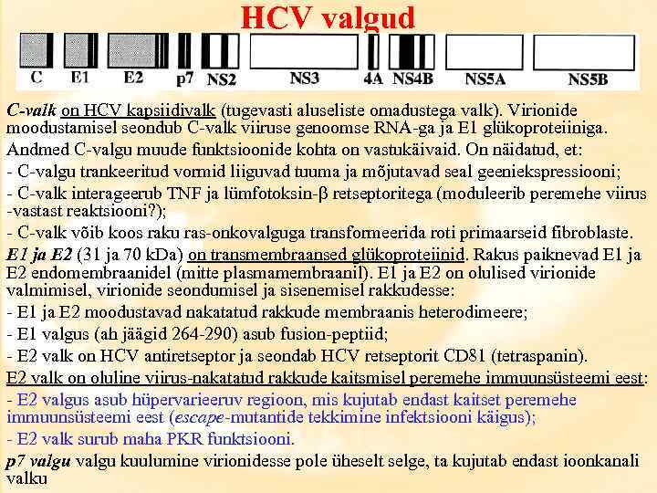 HCV valgud C-valk on HCV kapsiidivalk (tugevasti aluseliste omadustega valk). Virionide moodustamisel seondub C-valk
