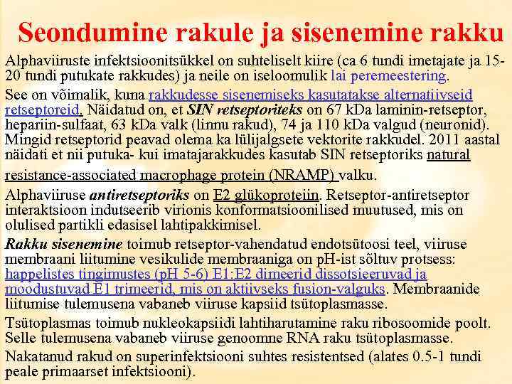 Seondumine rakule ja sisenemine rakku Alphaviiruste infektsioonitsükkel on suhteliselt kiire (ca 6 tundi imetajate