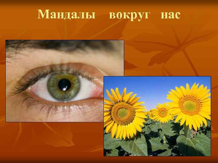 Мандалы вокруг нас 