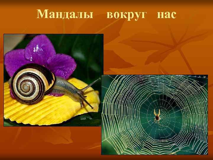 Мандалы вокруг нас 