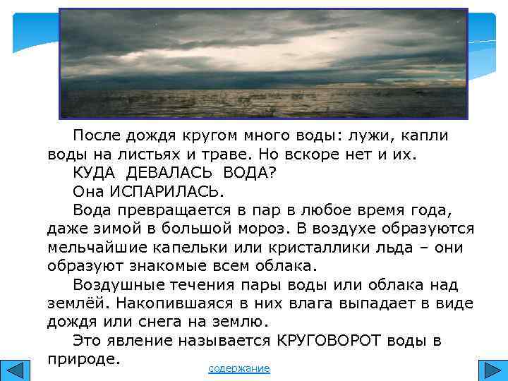 После дождя кругом много воды: лужи, капли воды на листьях и траве. Но вскоре