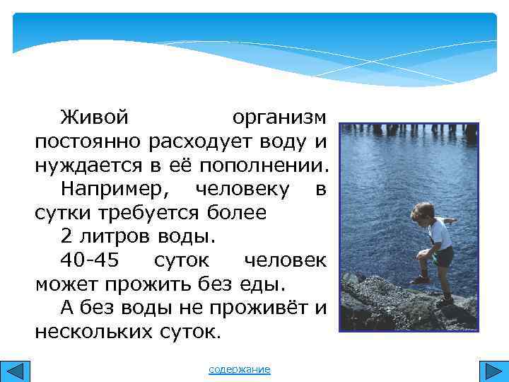 Живой организм постоянно расходует воду и нуждается в её пополнении. Например, человеку в сутки