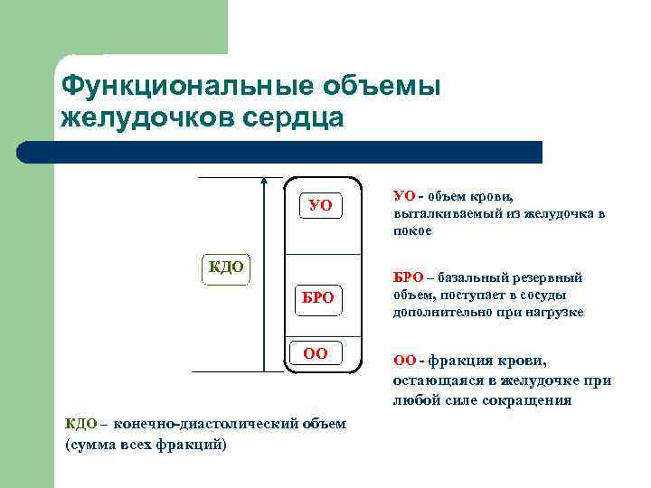 Функциональные объемы желудочков сердца УО КДО УО - объем крови, выталкиваемый из желудочка в