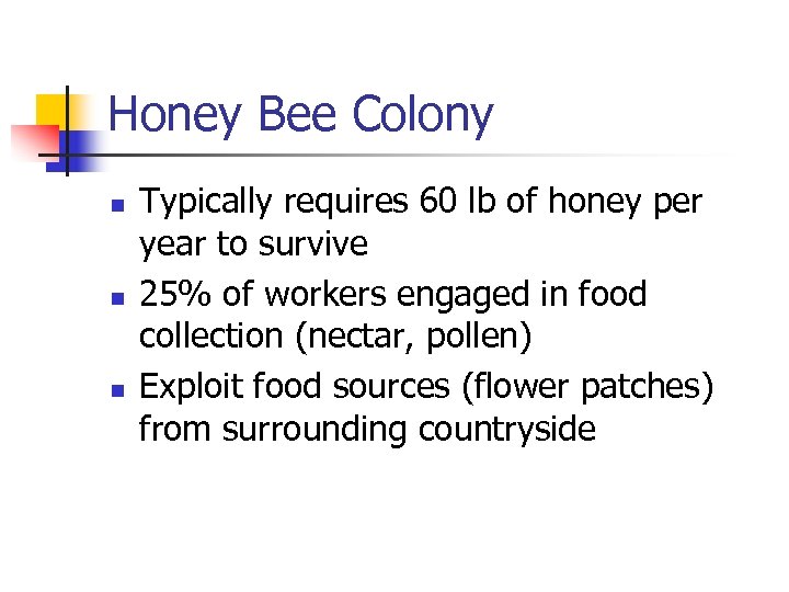 Honey Bee Colony n n n Typically requires 60 lb of honey per year