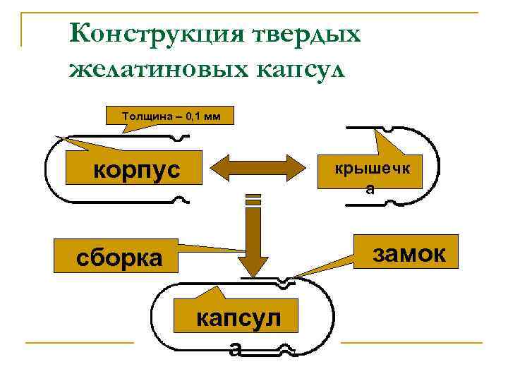 Конструкция твердых желатиновых капсул n. Толщина – 0, 1 мм nкорпус nкрышечк а nзамок