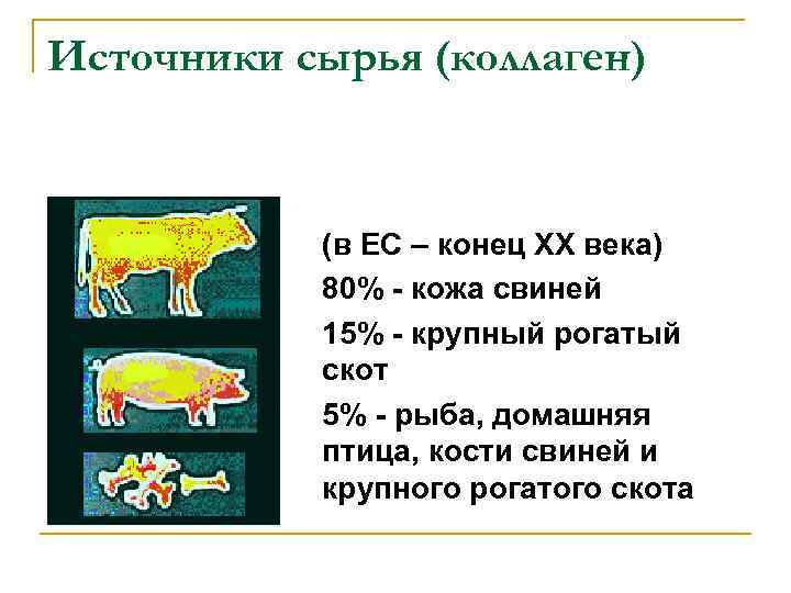 Источники сырья (коллаген) (в ЕС – конец ХХ века) 80% - кожа свиней 15%
