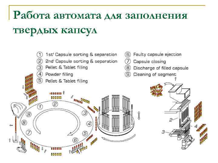 Работа автомата для заполнения твердых капсул 