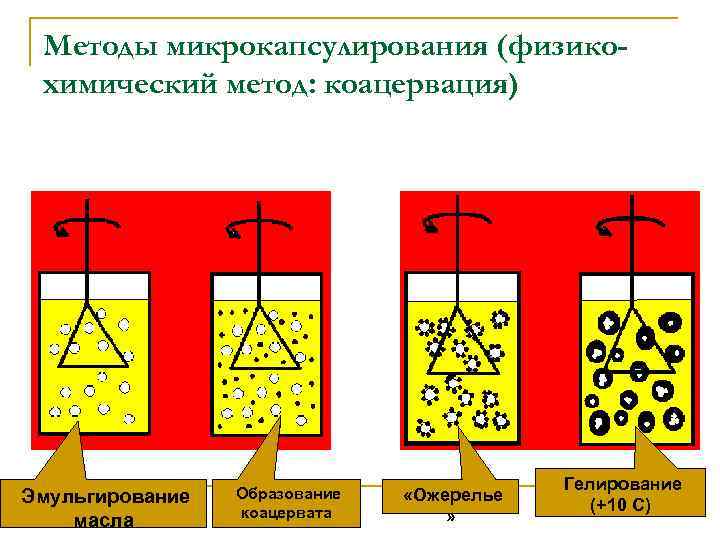 Методы микрокапсулирования (физикохимический метод: коацервация) n. Эмульгирование масла n. Образование коацервата n «Ожерелье »