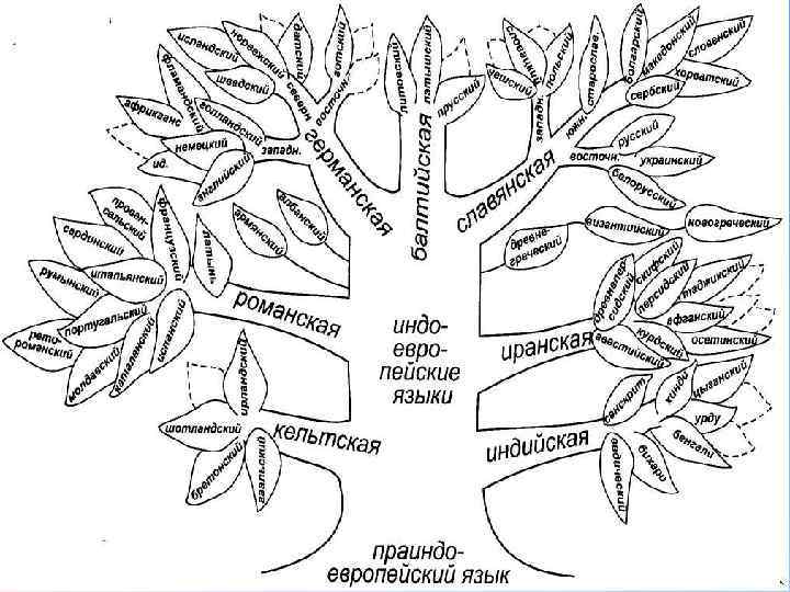 Рисунок дерево языков