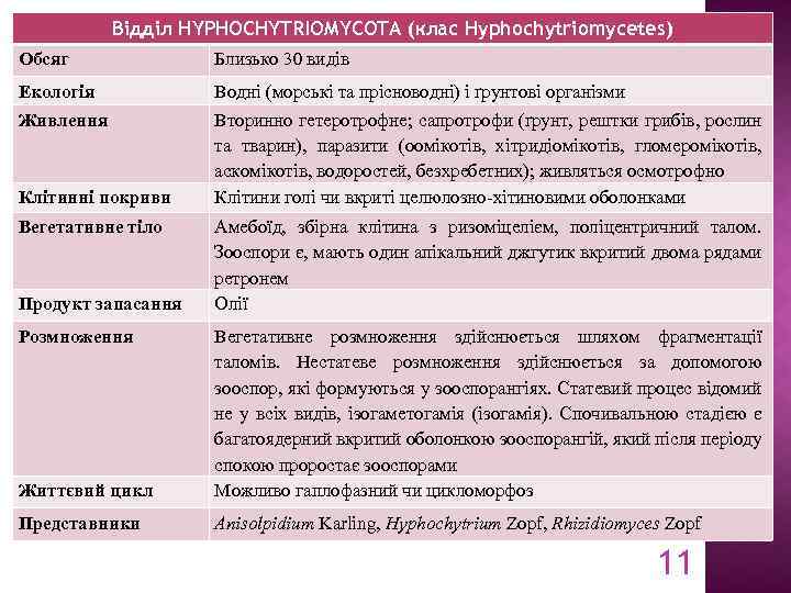 Відділ HYPHOCHYTRIOMYCOTA (клас Hyphochytriomycetes) Обсяг Близько 30 видів Екологія Водні (морські та прісноводні) і