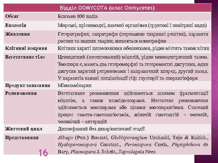Відділ OOMYCOTA (клас Oomycetes) Обсяг Близько 800 видів Екологія Морські, прісноводні, наземні організми (ґрунтові