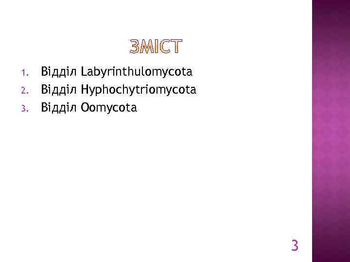 1. 2. 3. Відділ Labyrinthulomycota Відділ Hyphochytriomycota Відділ Oomycota 3 