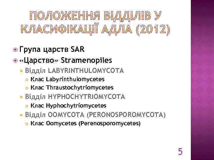  Група царств SAR «Царство» Stramenopiles Відділ LABYRINTHULOMYCOTA Відділ HYPHOCHYTRIOMYCOTA Клас Labyrinthulomycetes Клас Thraustochytriomycetes